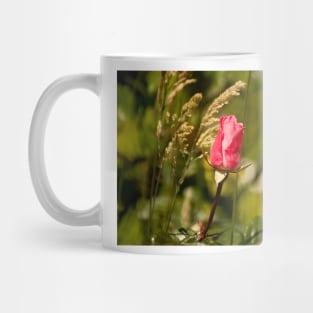 blb red rose Mug